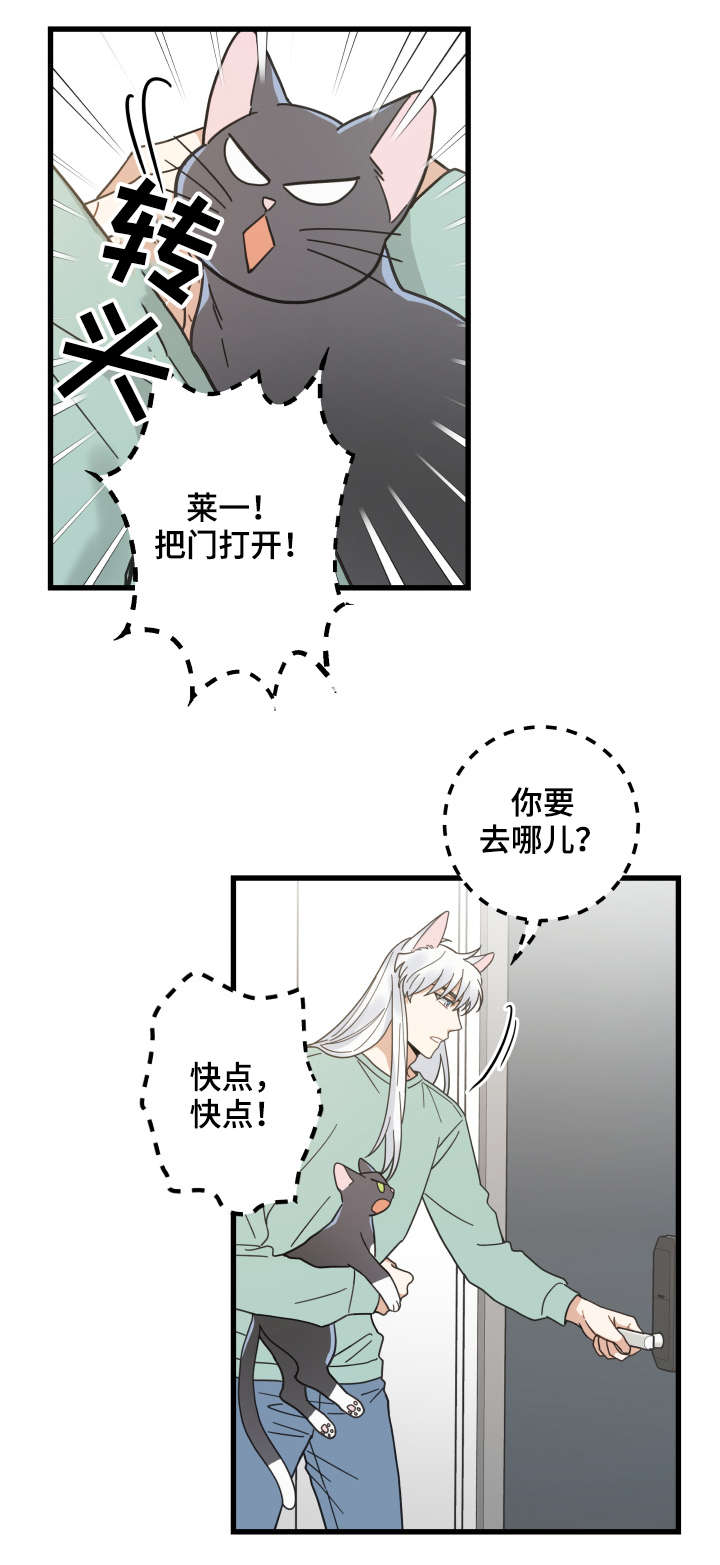 亲爱的喵君漫画,第43章：叔叔1图