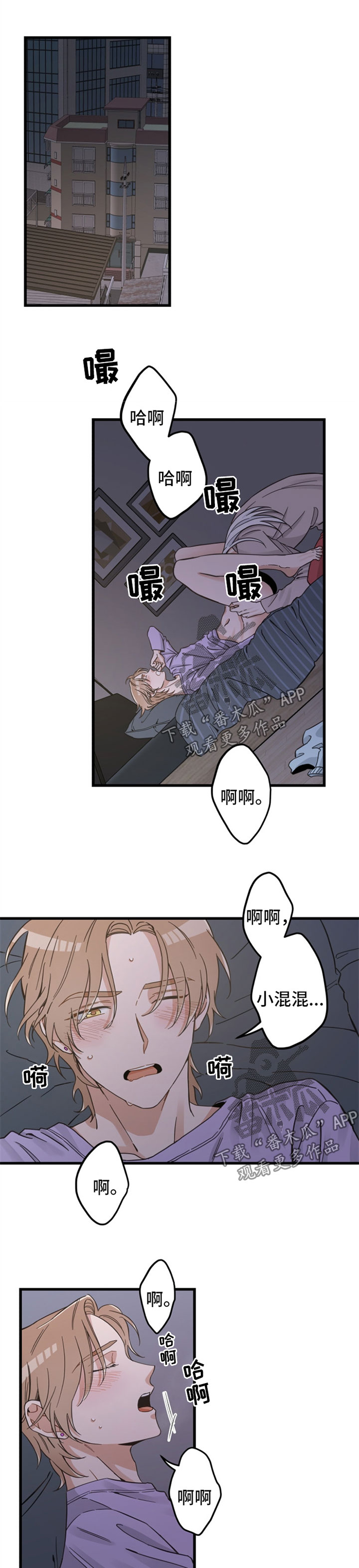 亲爱的喵君漫画,第85章：打扰好事1图