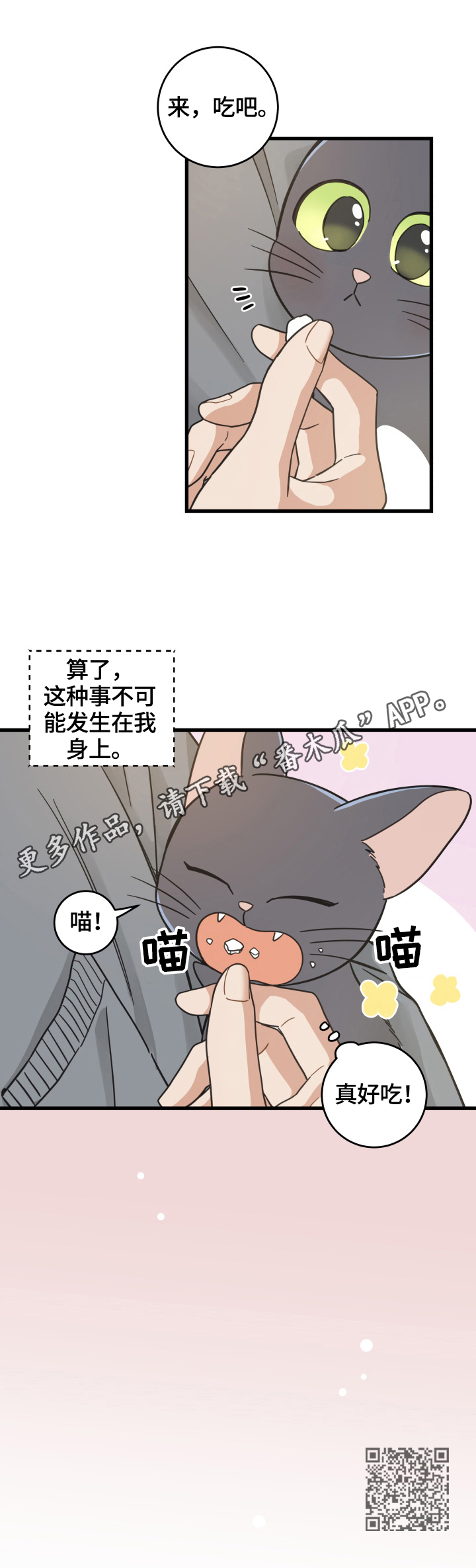 亲爱的喵君漫画,第70章：安慰2图