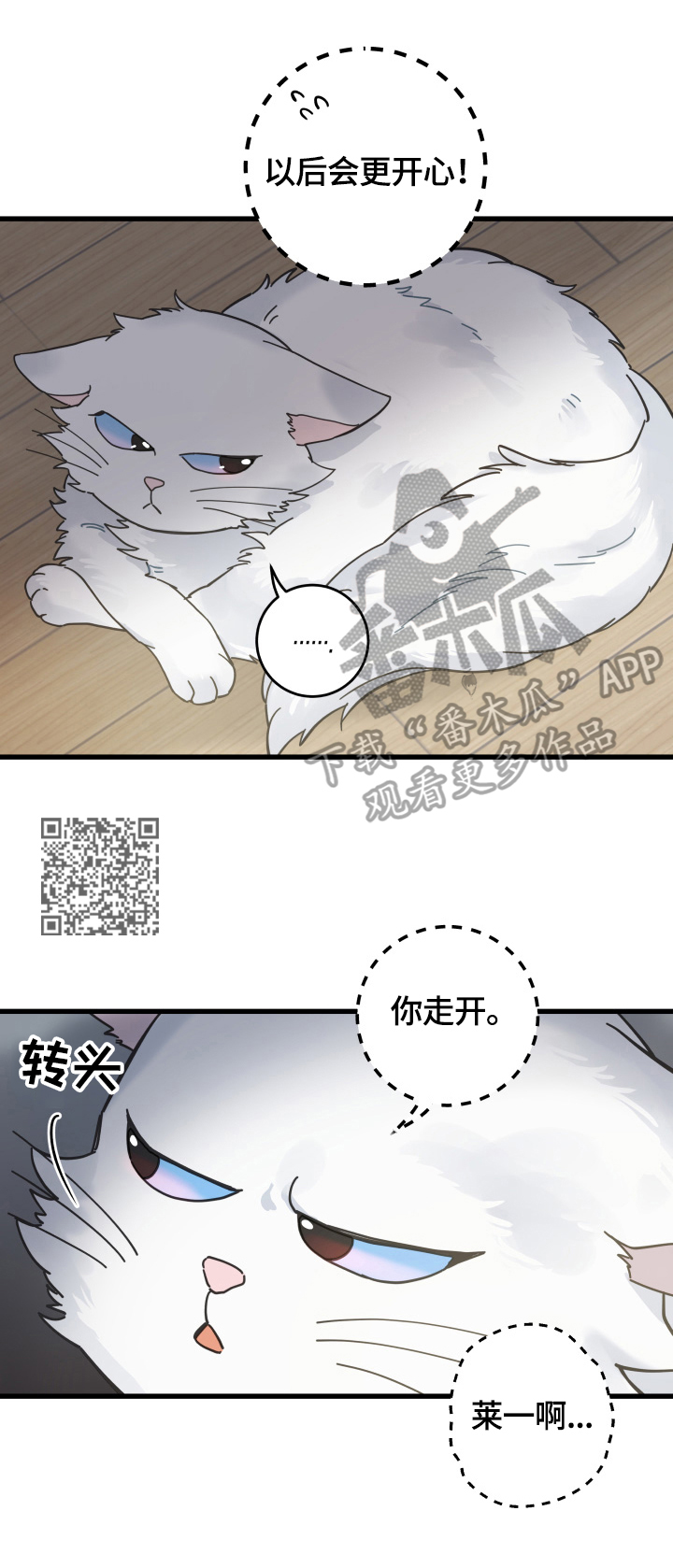 亲爱的喵君漫画,第60章：悲剧2图