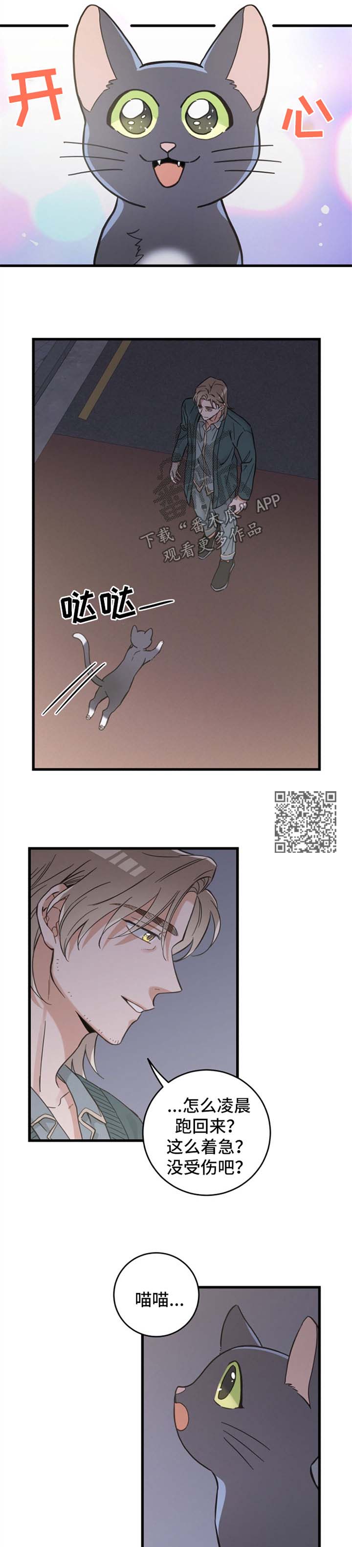 亲爱的喵君漫画,第83章：星星5图