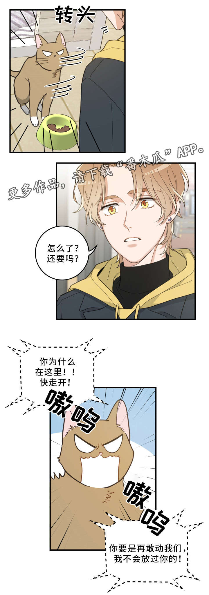 亲爱的喵君漫画,第23章：再遇5图