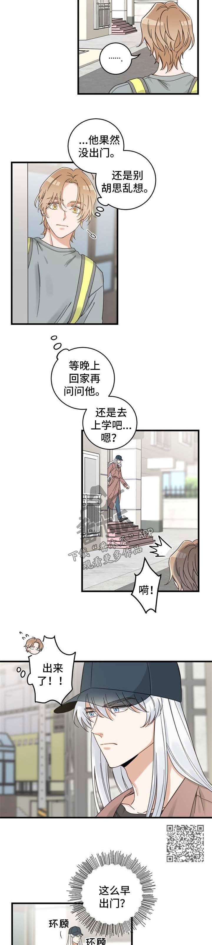 亲爱的喵君漫画,第98章：跟踪4图