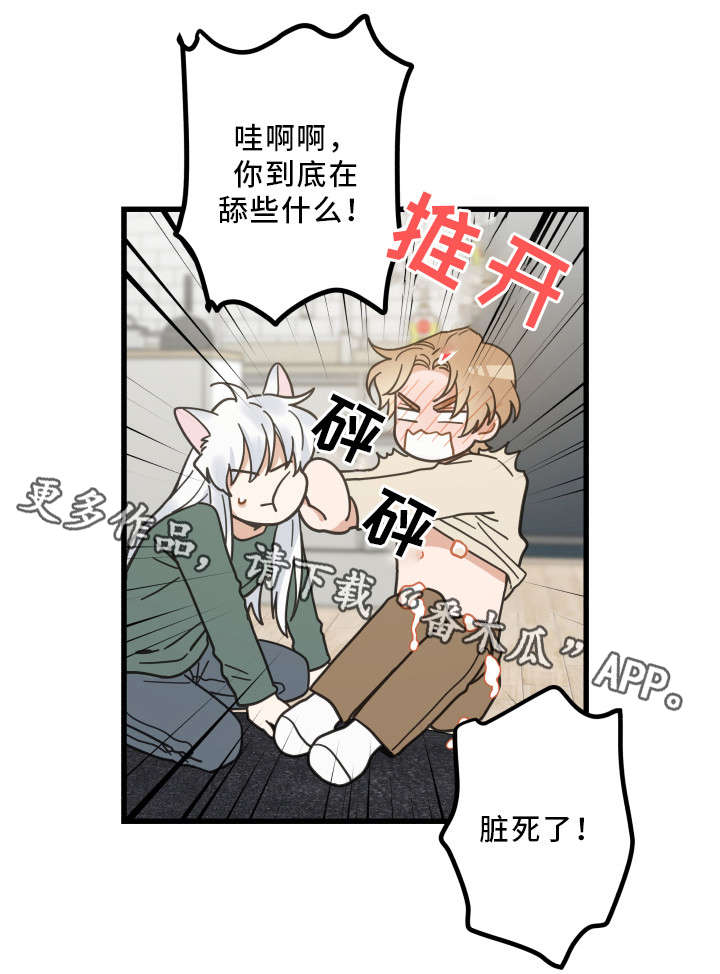 亲爱的喵君漫画,第29章：不能浪费1图