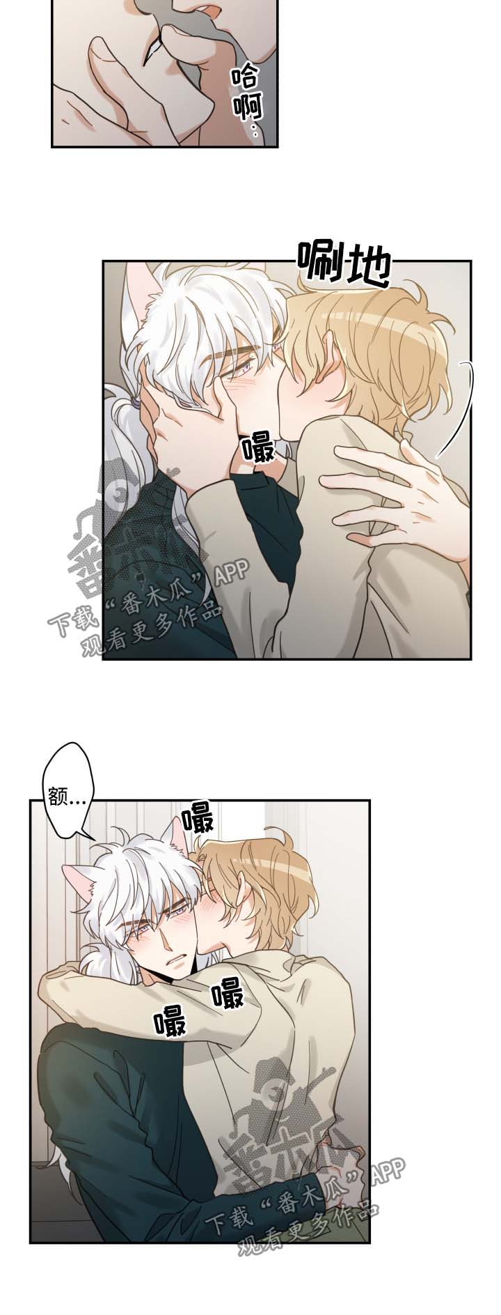亲爱的喵君漫画,第49章：酒店2图