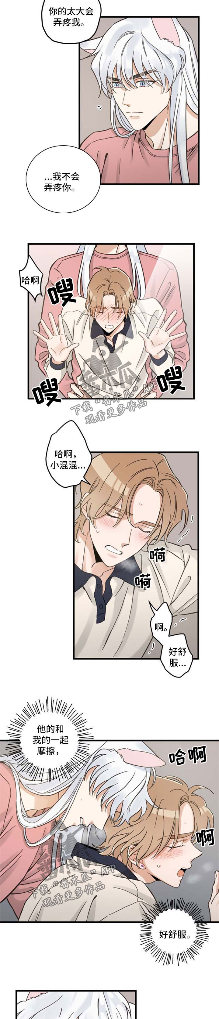 亲爱的喵君漫画,第89章：闹别扭4图