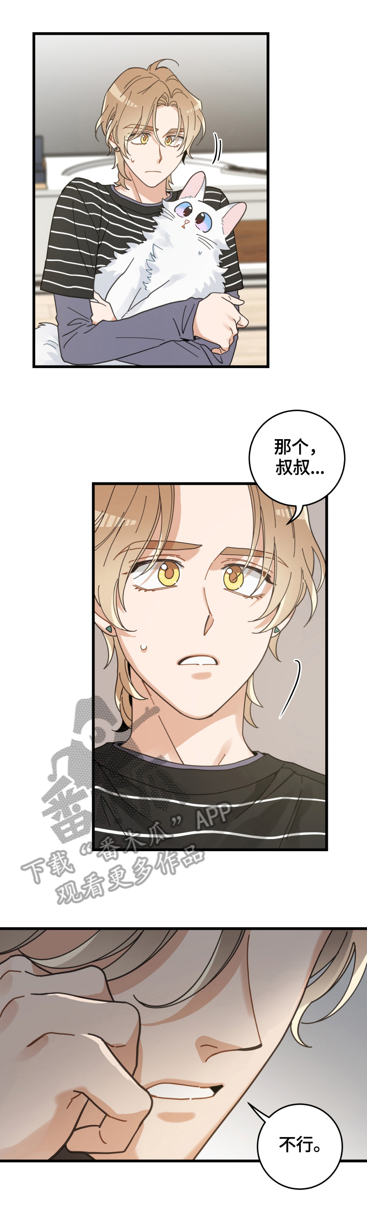 亲爱的喵君漫画,第59章：不同意2图