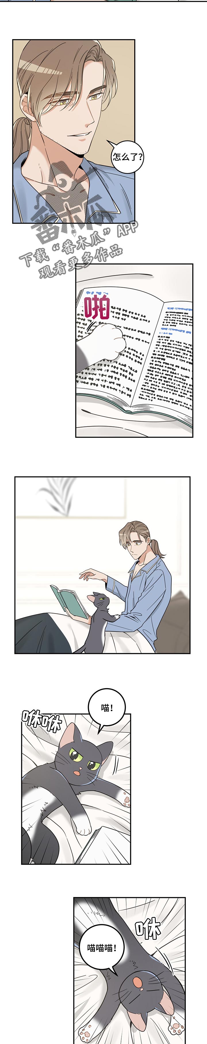亲爱的喵君漫画,第101章：捣乱2图
