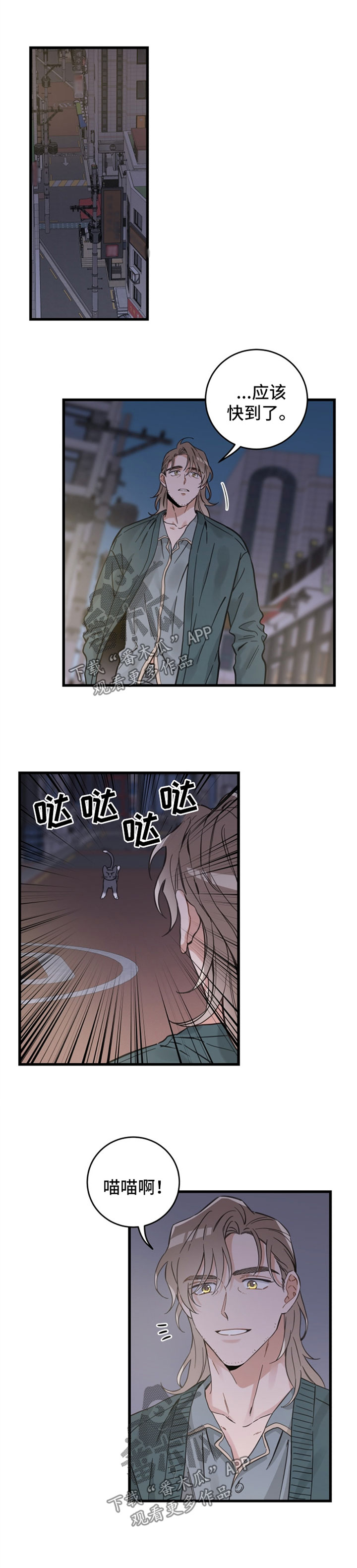 亲爱的喵君漫画,第83章：星星4图