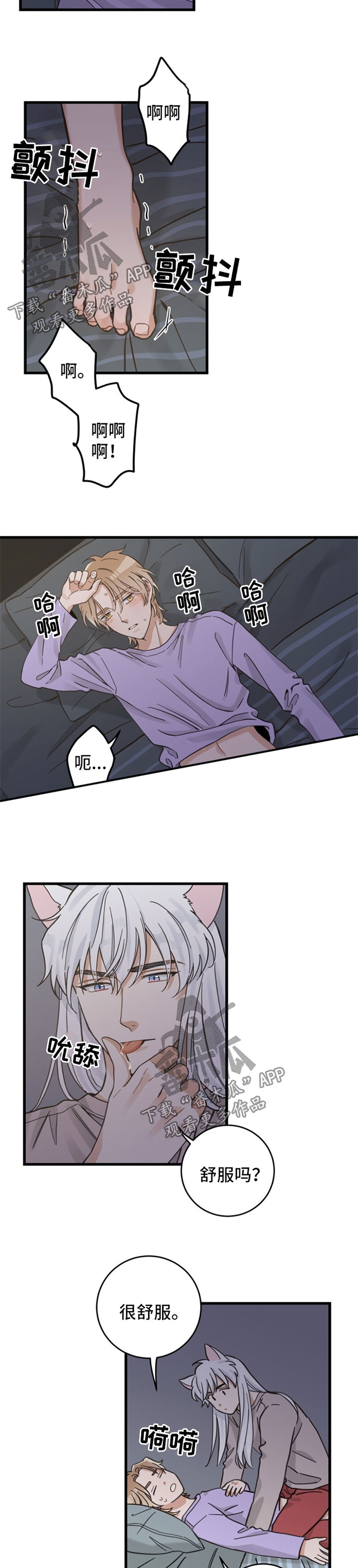 亲爱的喵君漫画,第85章：打扰好事2图