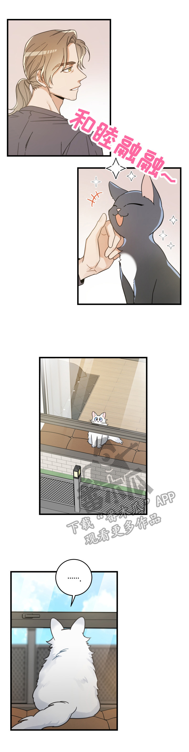 亲爱的喵君漫画,第63章：思念4图