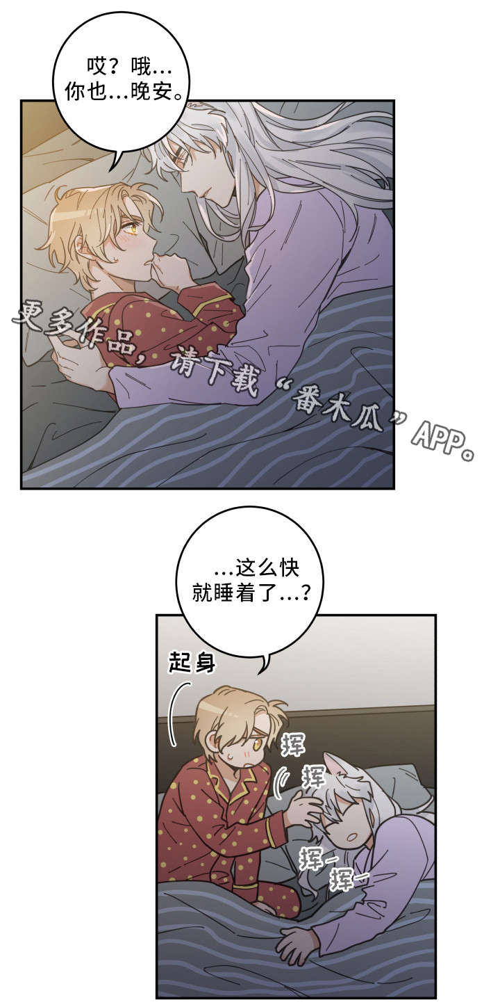 亲爱的喵君漫画,第12章：无事发生3图
