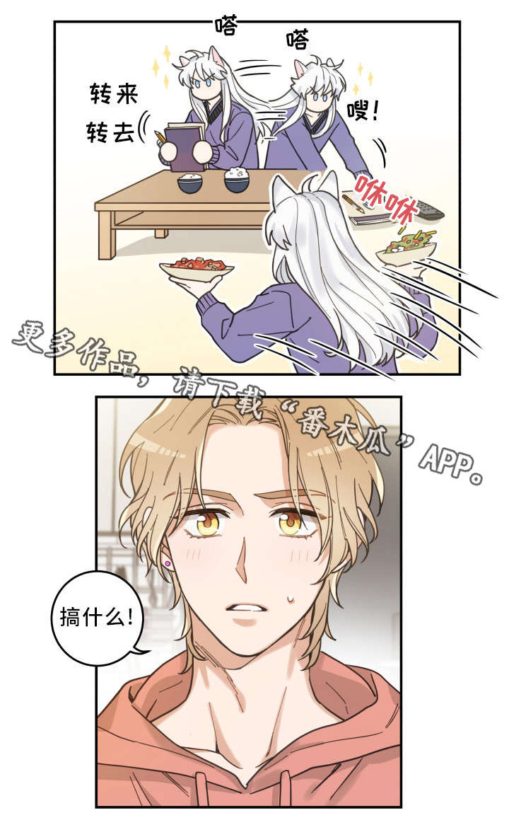 亲爱的喵君漫画,第11章：钻箱子3图