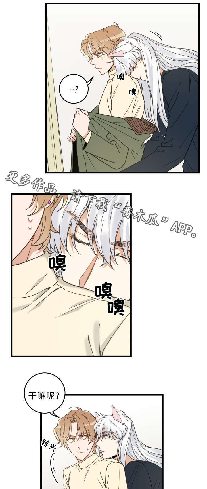 亲爱的喵君漫画,第34章：味道5图