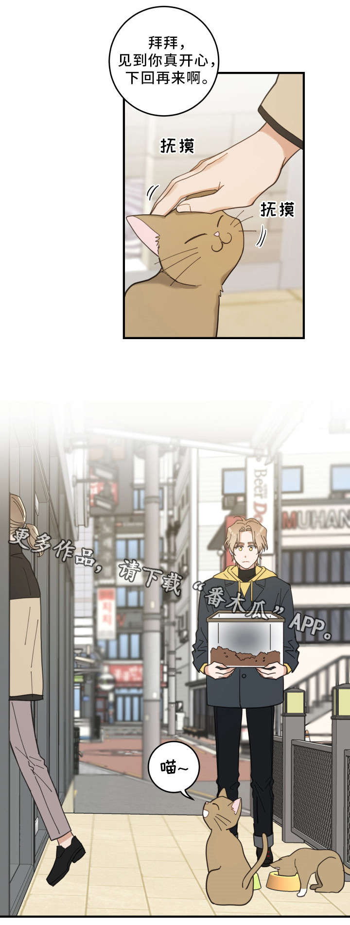 亲爱的喵君漫画,第23章：再遇4图