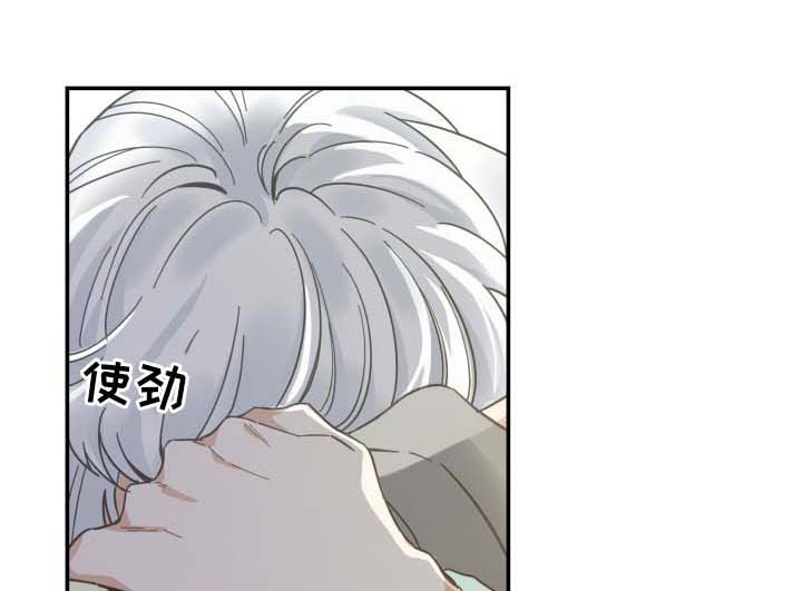 亲爱的喵君漫画,第45章：生气1图