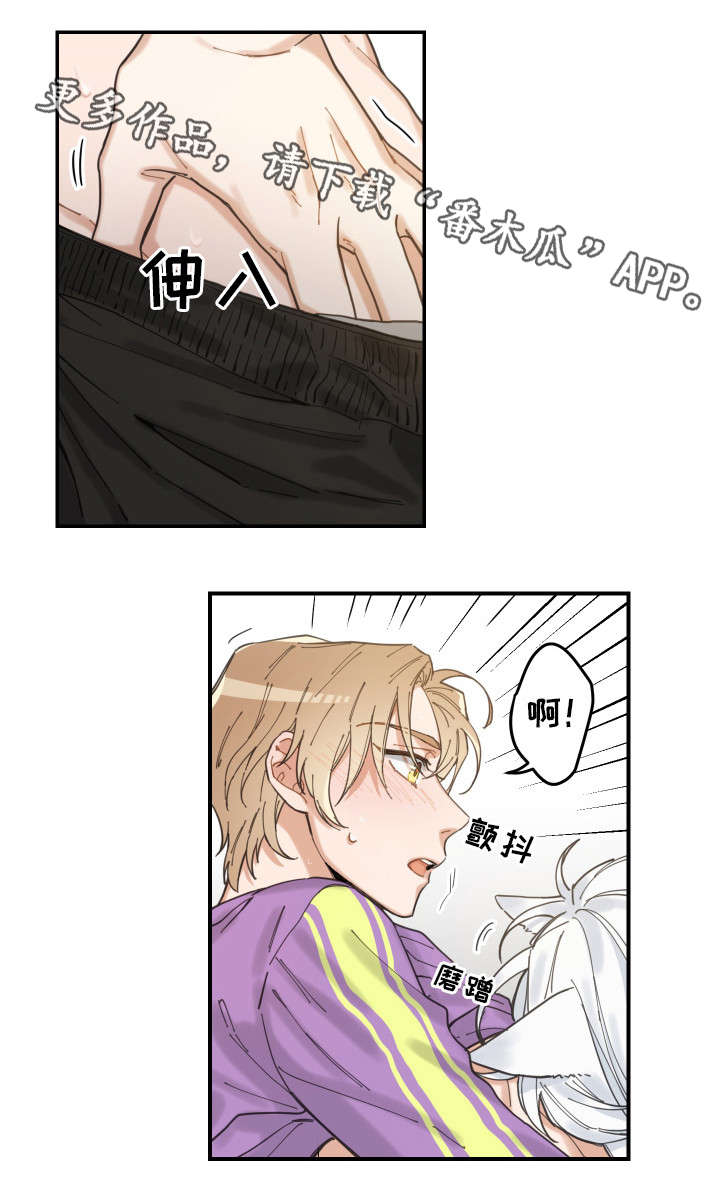 亲爱的喵君漫画,第6章：猫呢3图