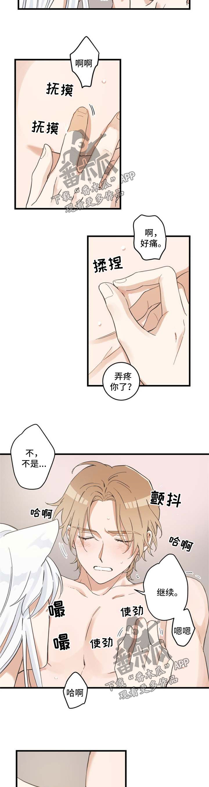 亲爱的喵君漫画,第78章：做你想做的3图