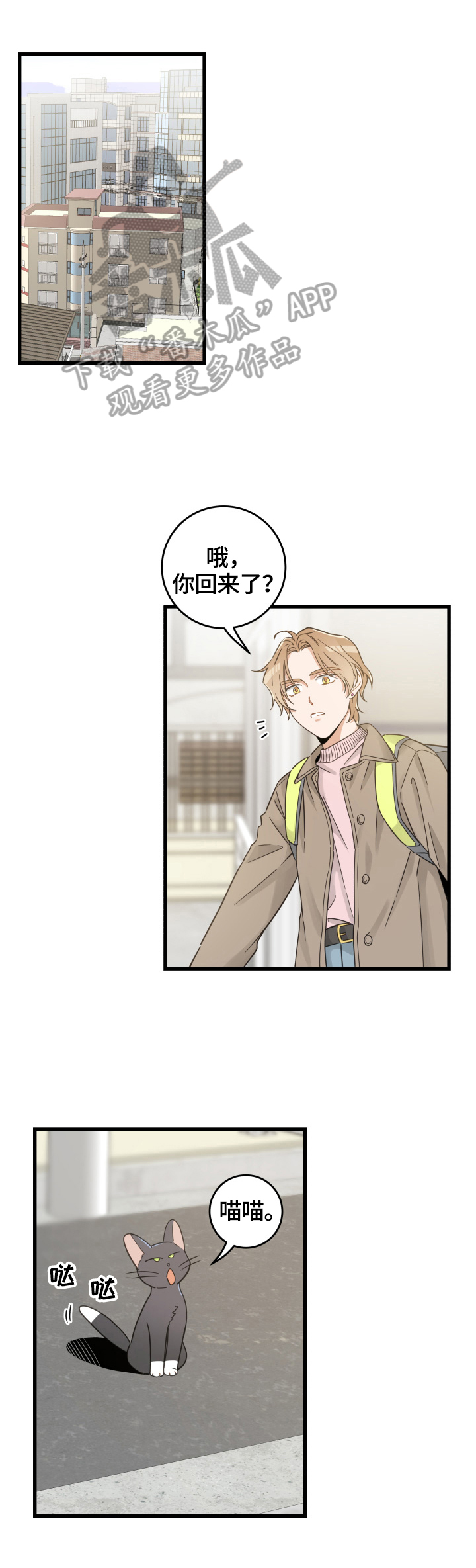 亲爱的喵君漫画,第70章：安慰1图
