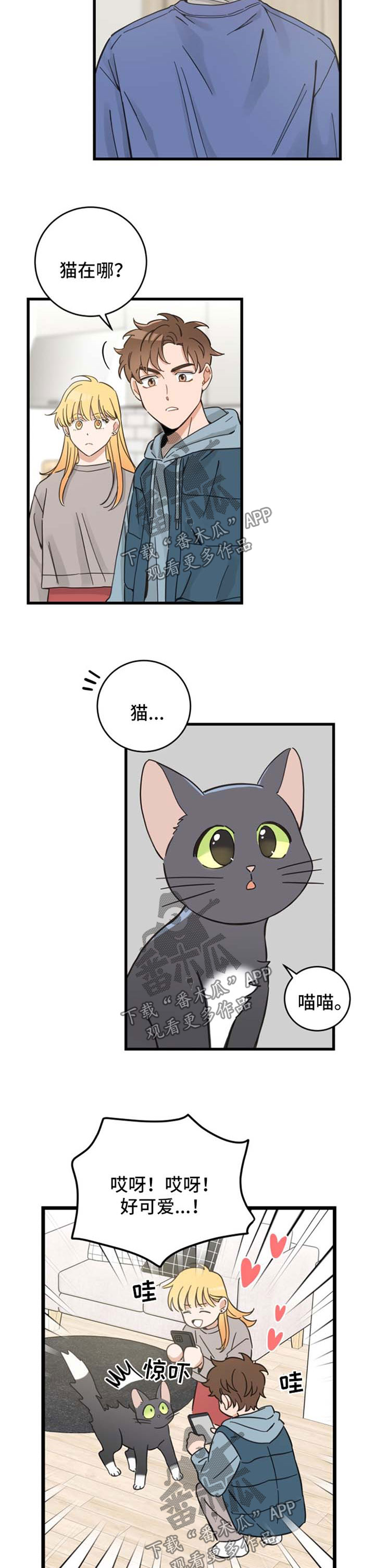 亲爱的喵君漫画,第81章：做客5图