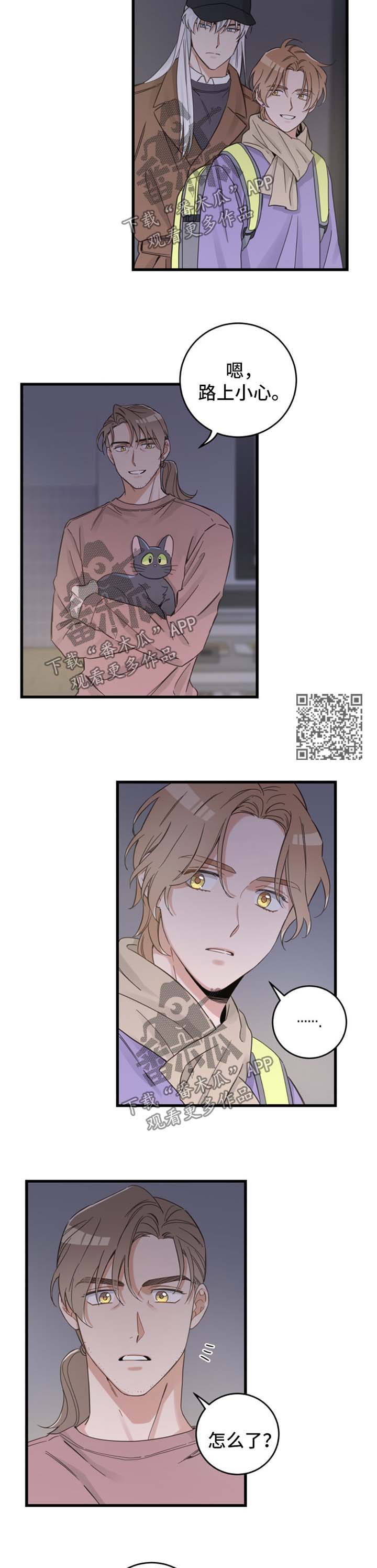 亲爱的喵君漫画,第80章：宠物心得5图