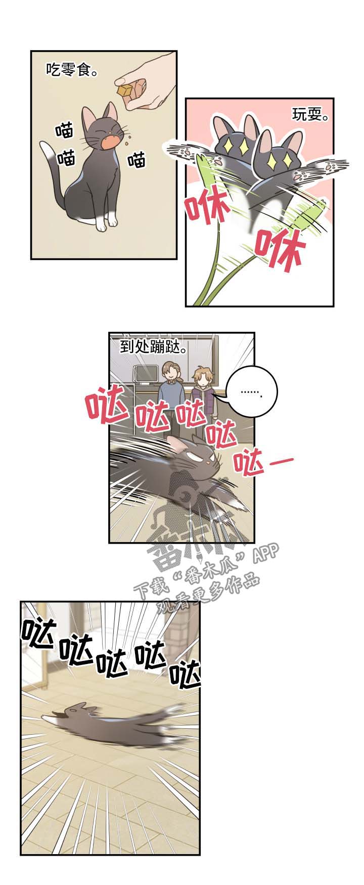 亲爱的喵君漫画,第44章：快乐生活1图