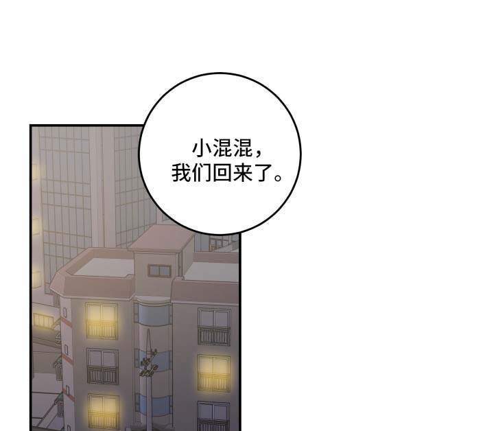 亲爱的喵君漫画,第44章：快乐生活4图