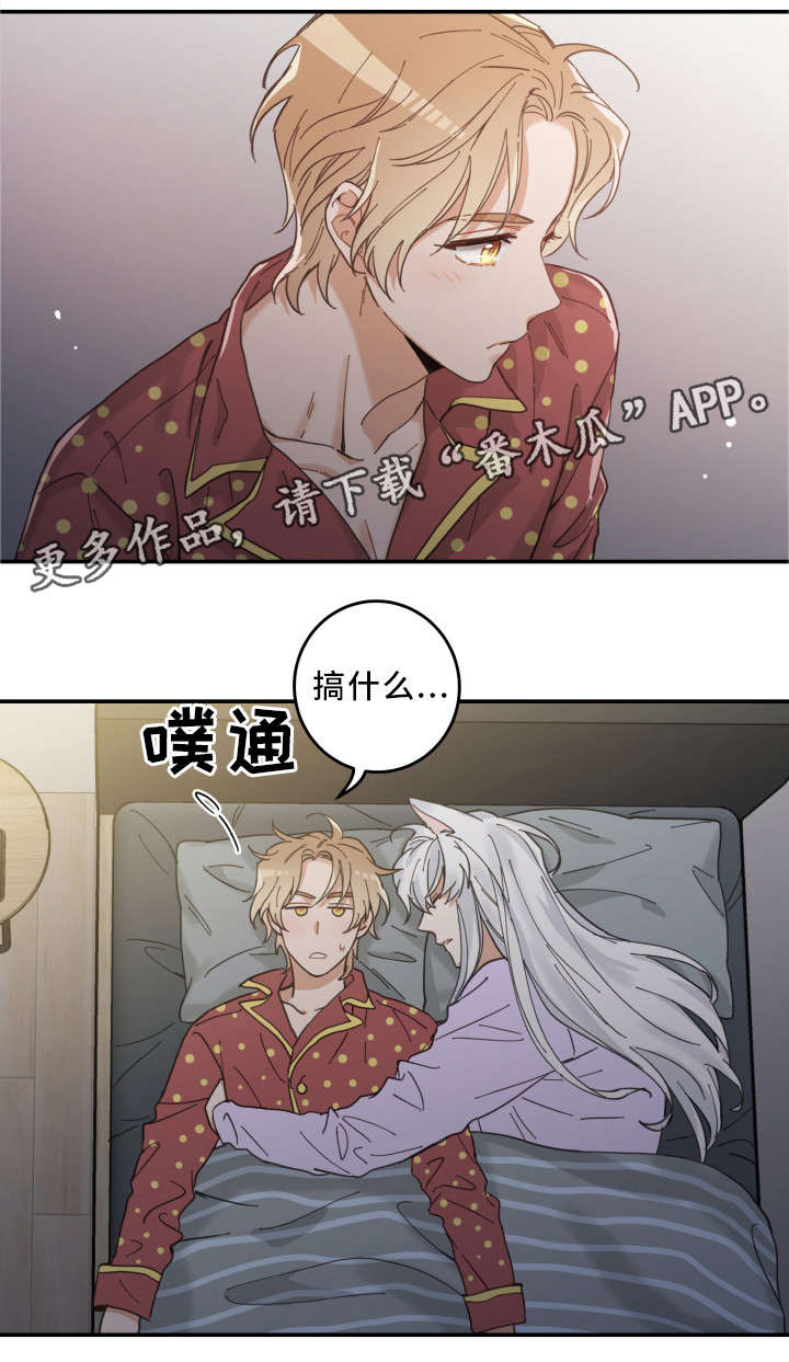亲爱的喵君漫画,第12章：无事发生4图