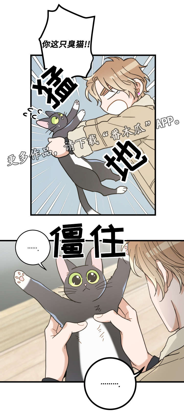 亲爱的喵君漫画,第42章：臭猫4图