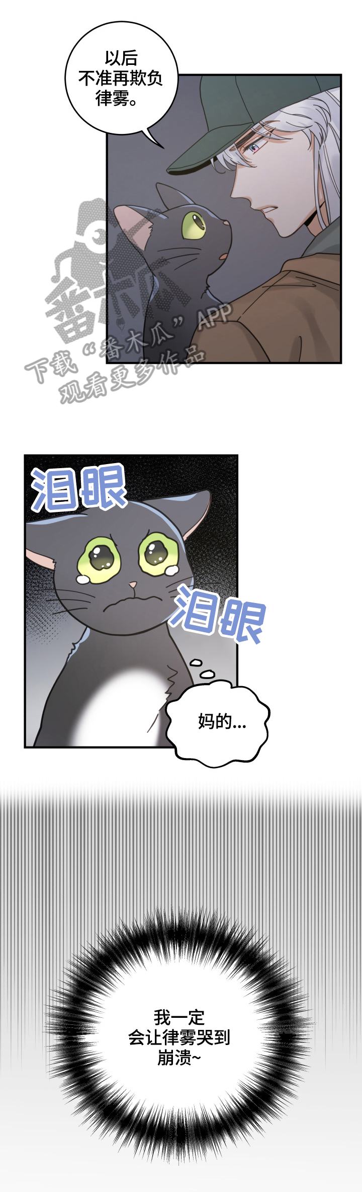亲爱的喵君漫画,第54章：回家4图