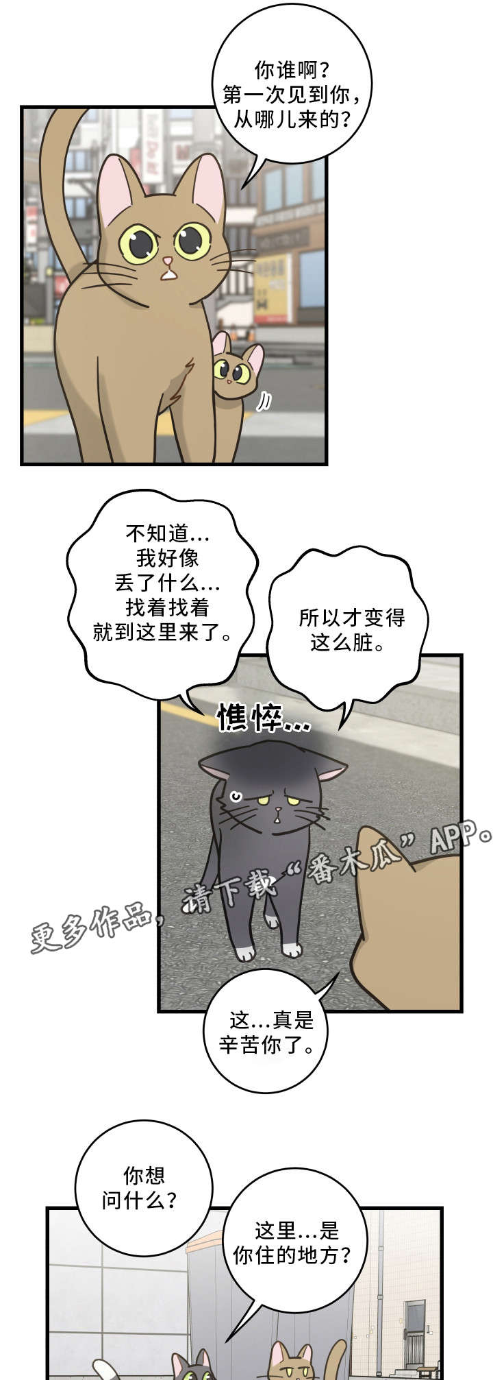 亲爱的喵君漫画,第32章：晕倒2图