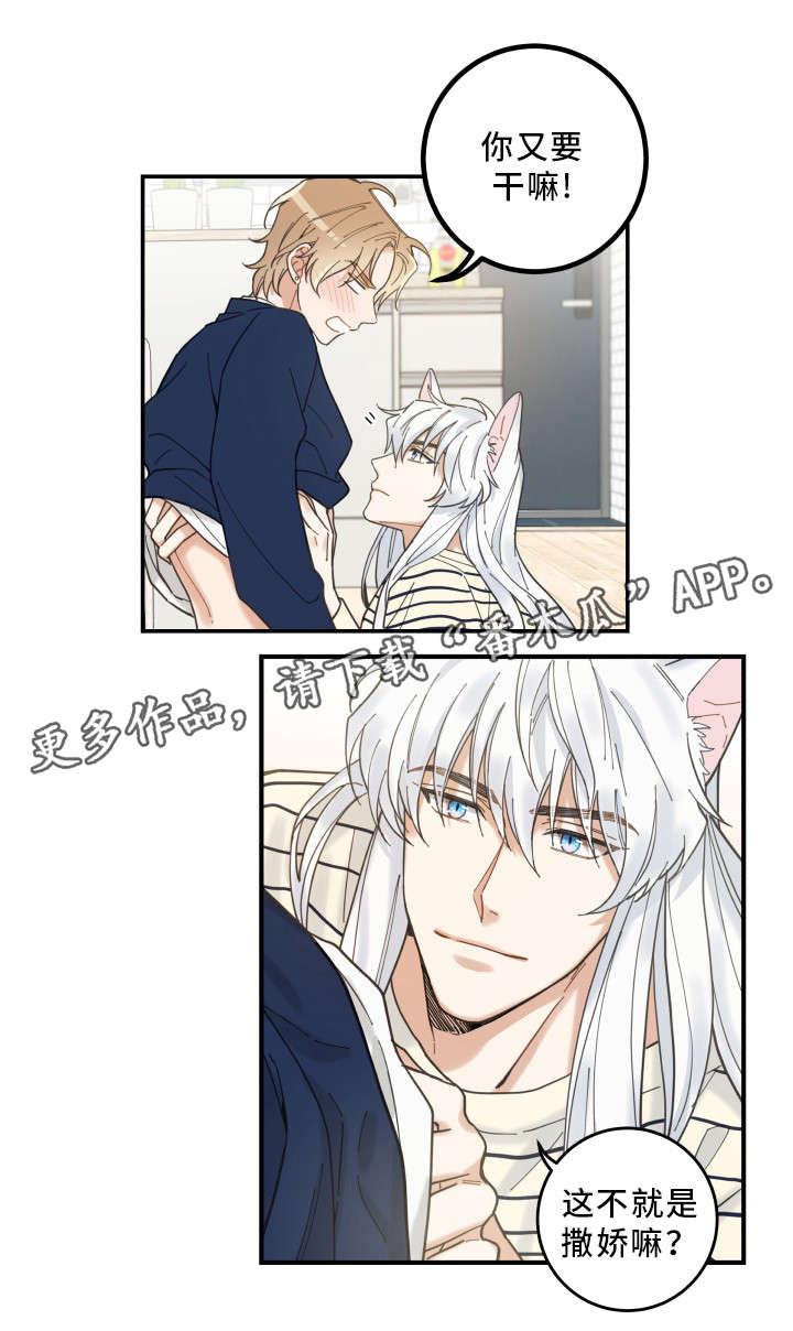 亲爱的喵君漫画,第9章：换衣服4图