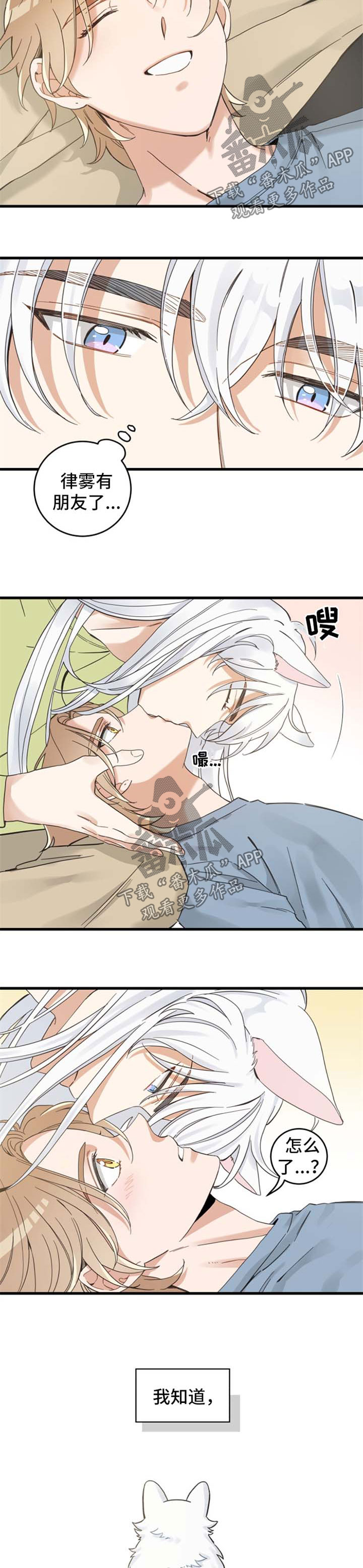 亲爱的喵君漫画,第77章：朋友1图