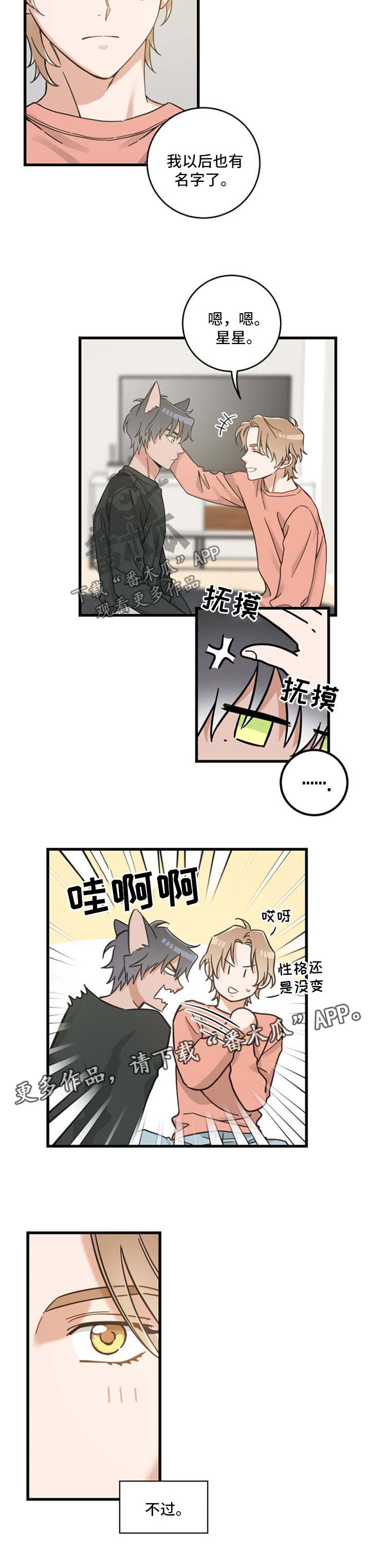 亲爱的喵君漫画,第86章：不同的喜欢3图