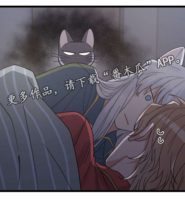 亲爱的喵君漫画,第38章：打扰5图