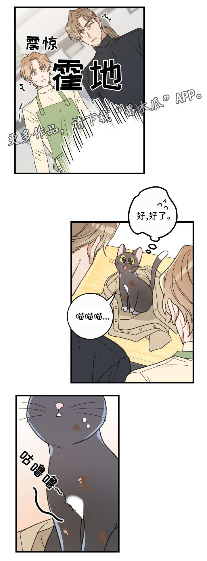 亲爱的喵君漫画,第33章：好想你1图