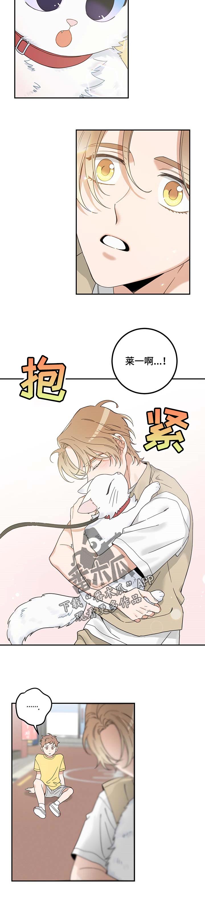 亲爱的喵君漫画,第111章：重逢4图