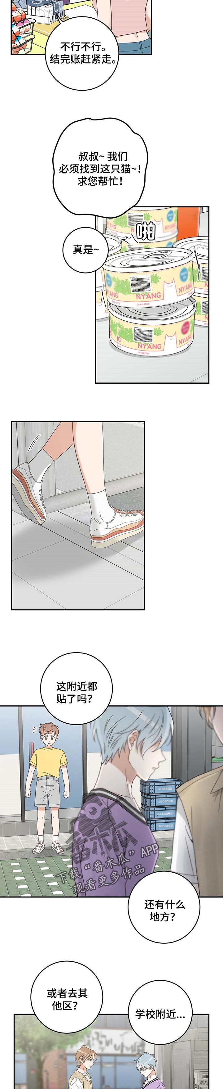 亲爱的喵君漫画,第110章：找到了2图