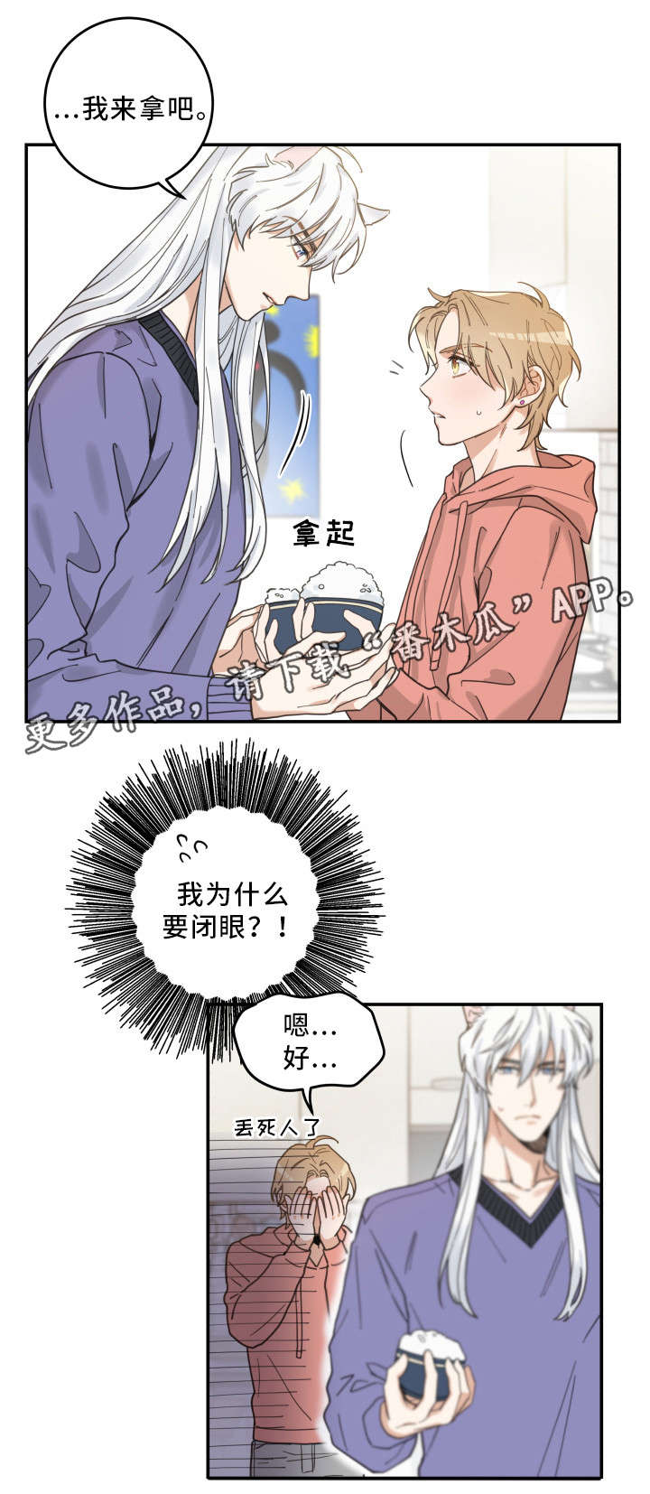 亲爱的喵君漫画,第11章：钻箱子2图