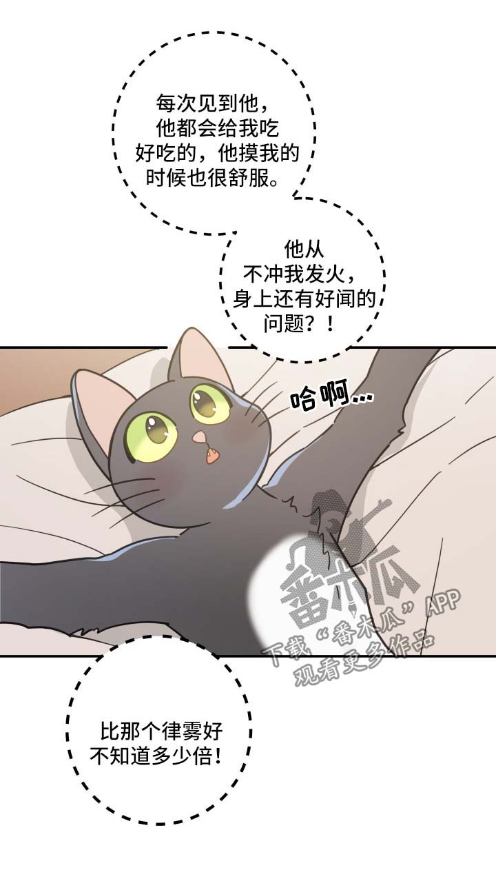 亲爱的喵君漫画,第44章：快乐生活3图