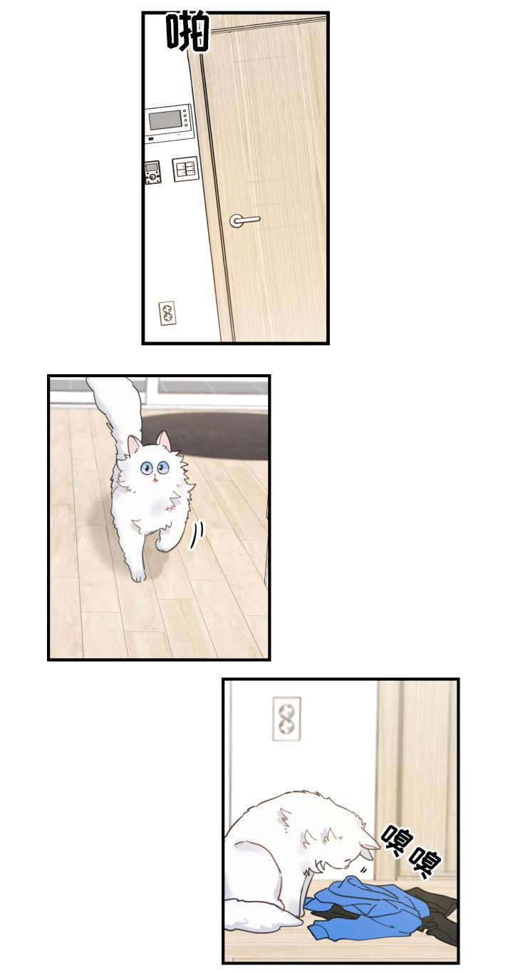 亲爱的喵君漫画,第2章：白猫4图