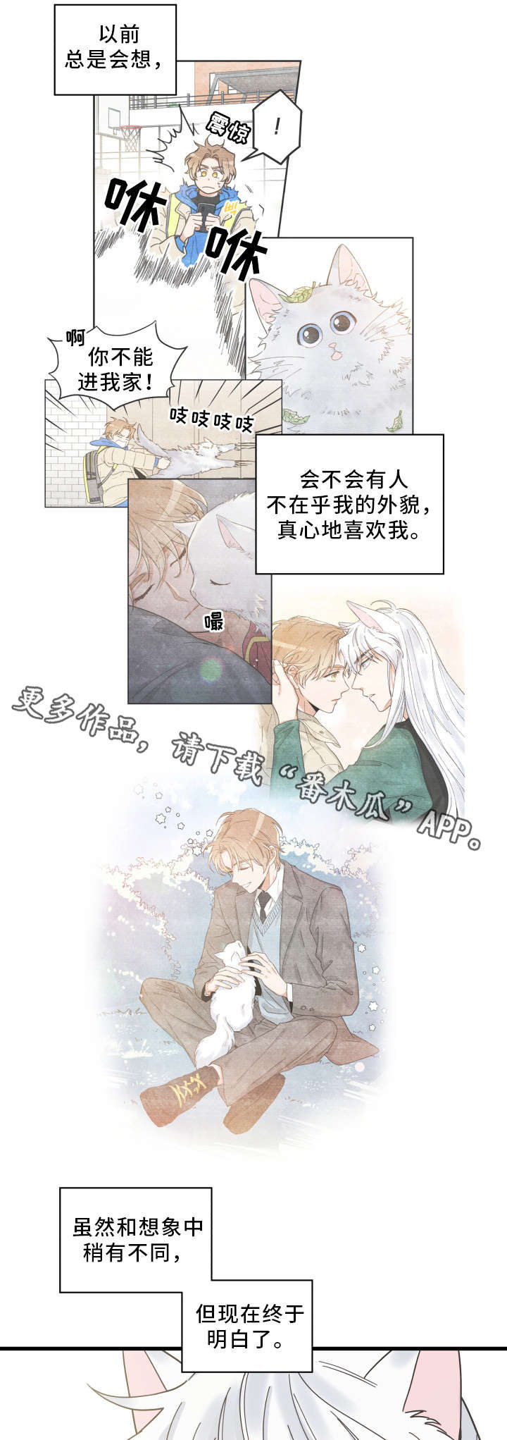 亲爱的喵君漫画,第30章：最好的礼物4图