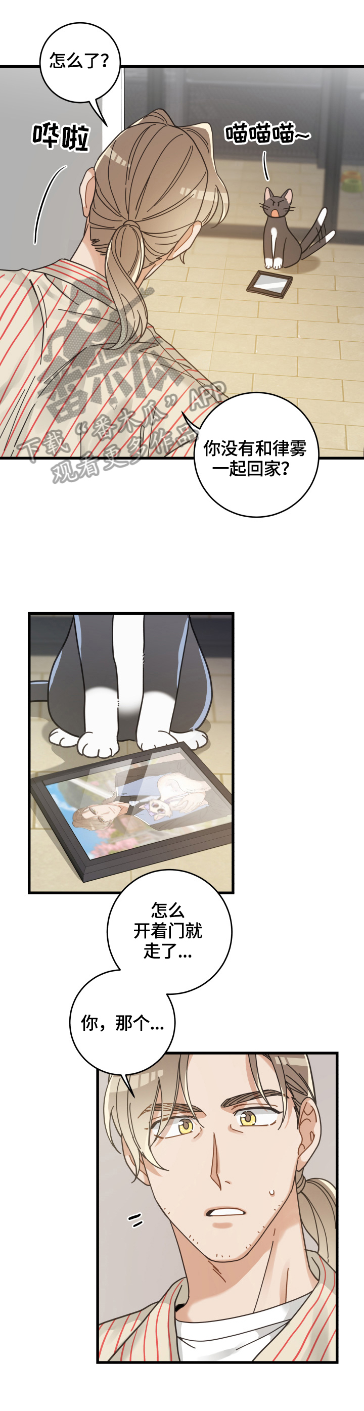 亲爱的喵君漫画,第57章：引出5图