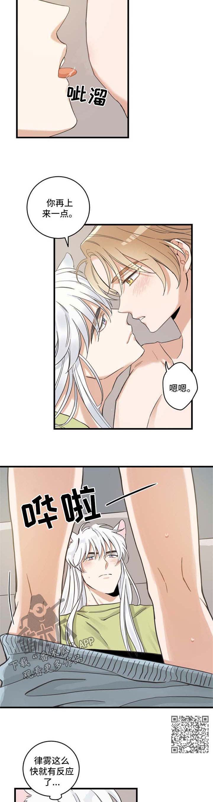 亲爱的喵君漫画,第78章：做你想做的4图