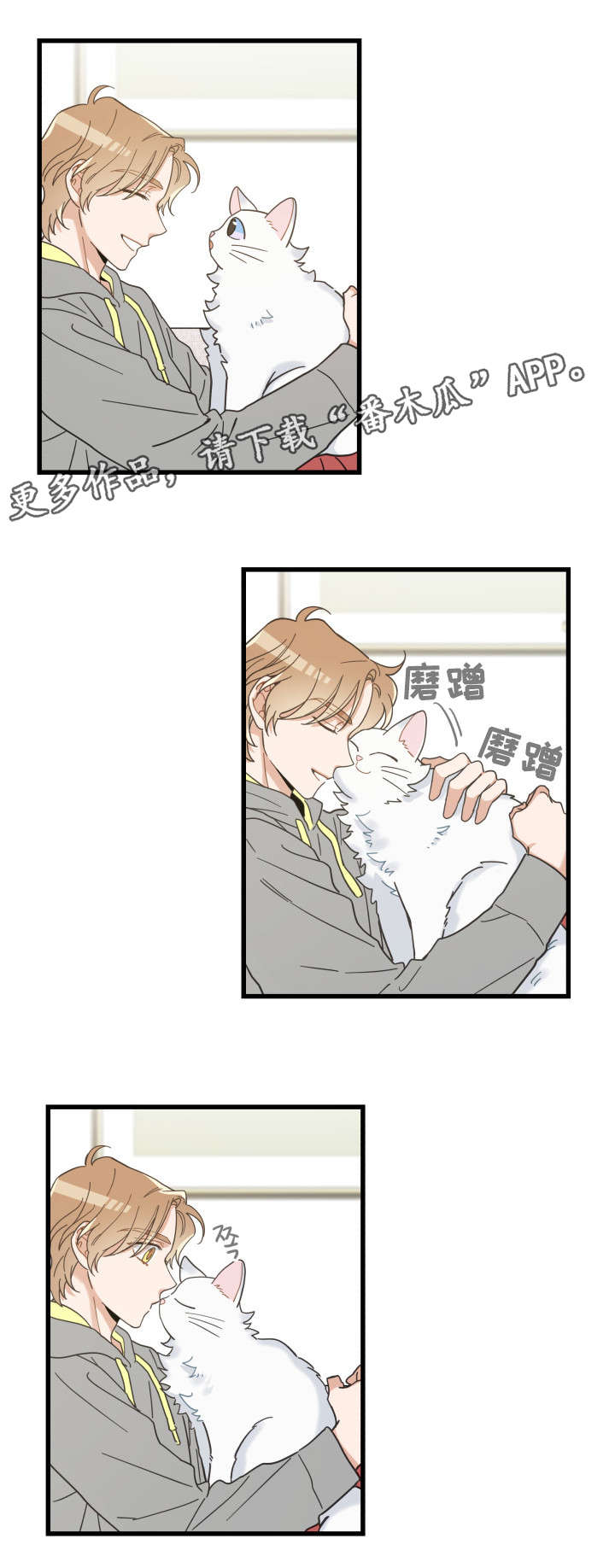 亲爱的喵君漫画,第40章：决心3图