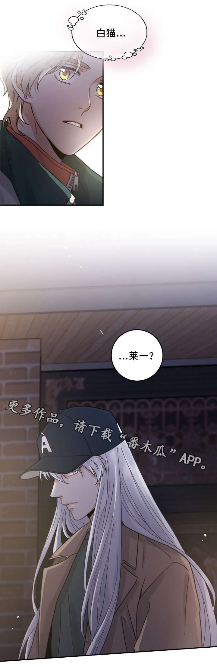 亲爱的喵君漫画,第16章：白猫莱一3图