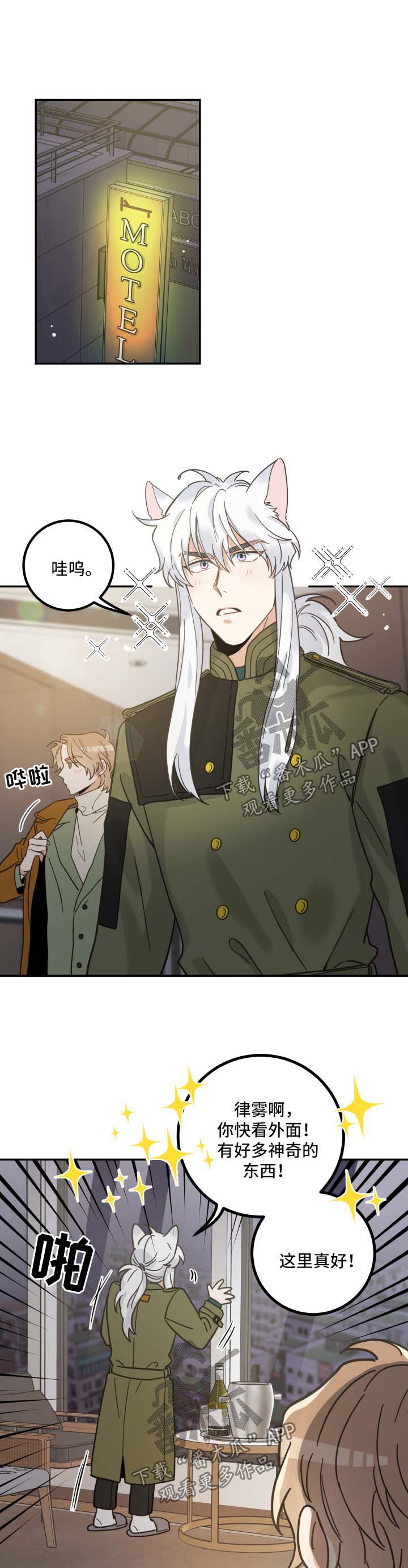 亲爱的喵君漫画,第49章：酒店3图