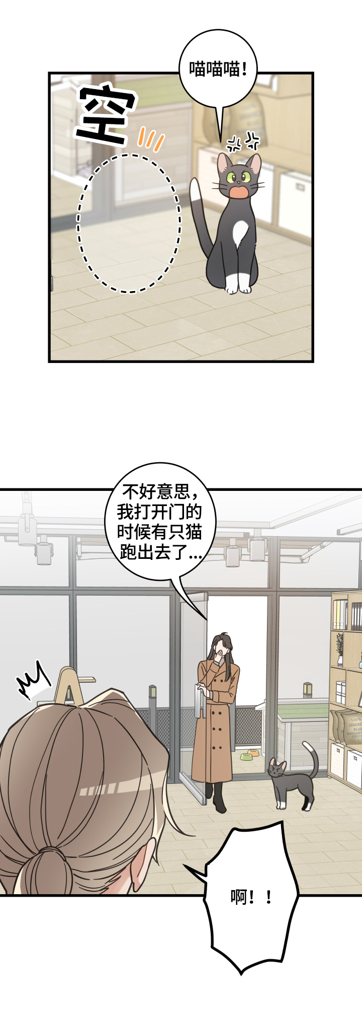 亲爱的喵君漫画,第64章：逃走3图