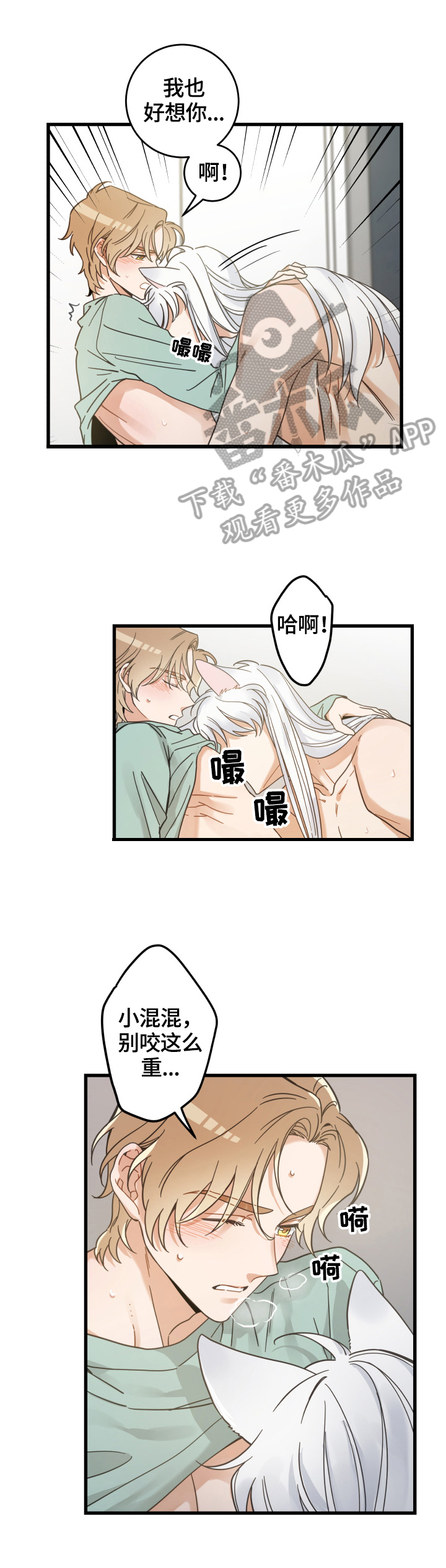 亲爱的喵君漫画,第65章：忍不了2图
