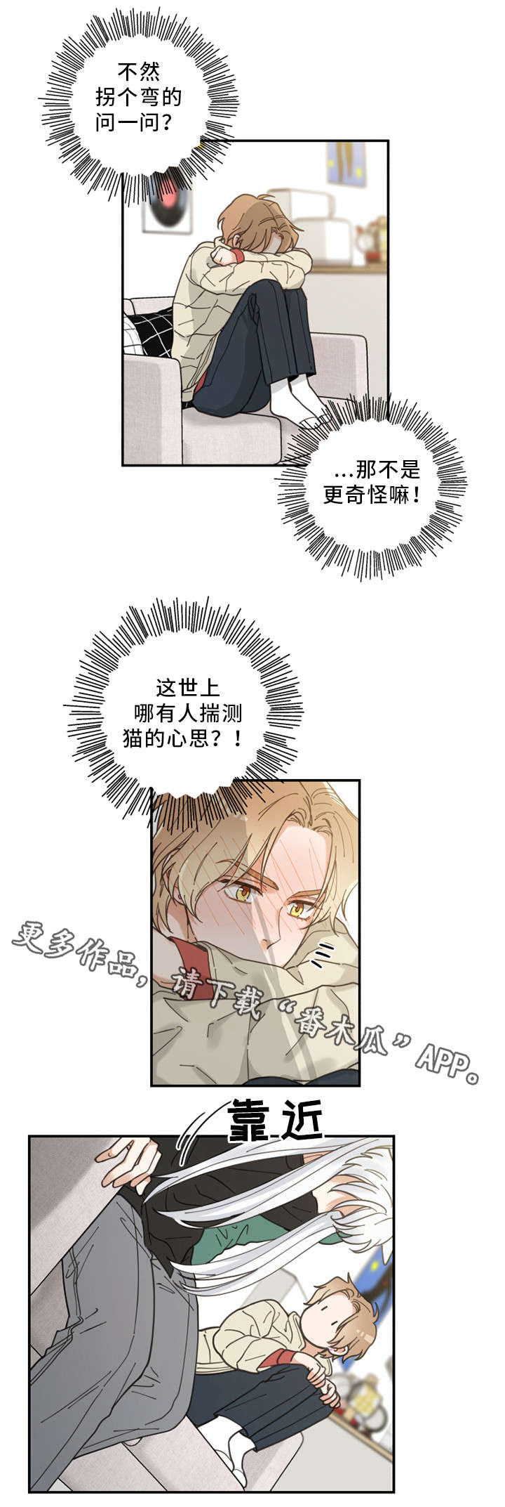 亲爱的喵君漫画,第13章：心心念念5图